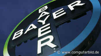 Bayer streicht Dividende zusammen