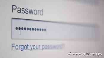 Worried about a cyberattack? Here are tips to help protect your digital assets