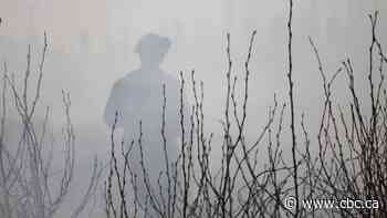 Ontario says it's working on program addressing forest firefighter smoke exposure fears, but union has doubts