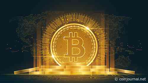 Crypto FOMO is back as Bitcoin Dogs token sale gains steam