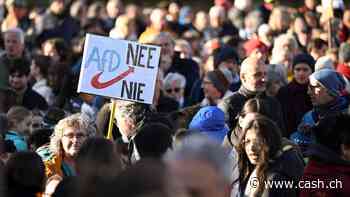 AfD sinkt auf 17 Prozent