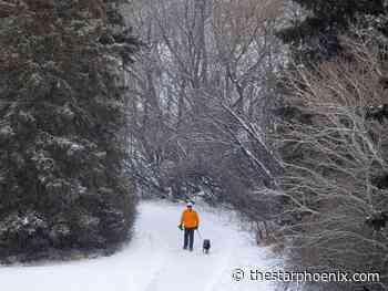 Saskatoon weather: Sunny and mild, high -6