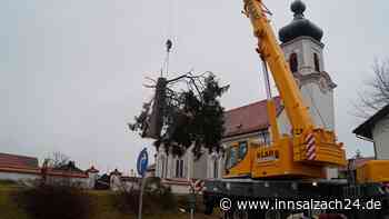 114 Jahre alte Fichte am Maitenbether Friedhof muss weichen