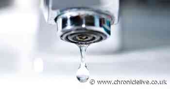 'Rotten eggs and cabbage' - the bathroom smells you should never ignore