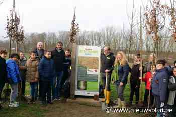 Eeuwenoud bos voor stukje in ere hersteld: “Bewogen geschiedenis met Romeinse resten en burchten”