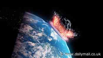 I head up NASA's asteroid warning division. This is how we'd alert the public if the world was about to end