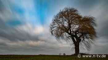 Nach mildem Februar: Deutschland droht ein Mini-Winter