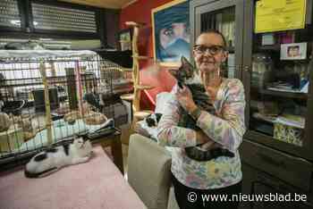 Crowdfunding helpt Ingrid van Dierenasiel Katten-T-Huis aan nieuwe auto