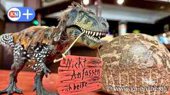 Geotanium Gettorf: Vortrag über Dinosaurier für Erwachsene