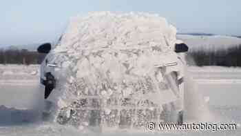 Watch this Chinese EV shake off snow like a puppy
