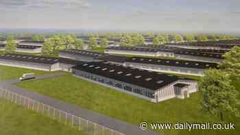 There goes the neighborhood! Locals outraged over plan to build 200-acre 'mini-city' of 30,000 MONKEYS for medical research in Georgia