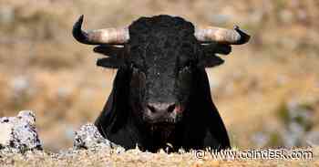 The Crypto Vibe Shift