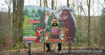 Party trail for the Gruffalo's 25th birthday installed at Hamsterley Forest