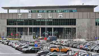 100 Hektar Wald müssten weichen: Bürger stimmen gegen Tesla-Erweiterung