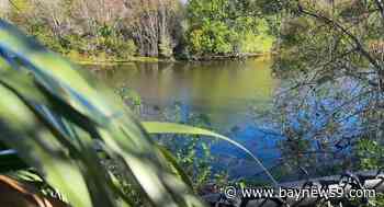 Pinellas County's Lealman neighborhood applies for grants to improve parts of community