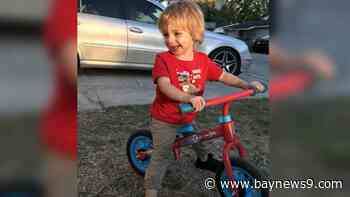 Hudson community asked for prayers, support after 2-year-old boy viciously attacked by dog