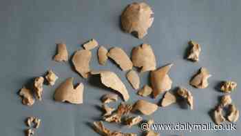 Ancient DNA reveals children with Down syndrome in 5,000-year-old societies were given noble burials and treated with 'care and appreciation'