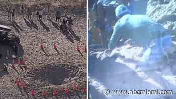 Girl dies after getting trapped in sand at Lauderdale-by-the-Sea beach