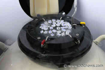 Doctors and patients fearfully proceed with IVF after Alabama court rules embryos are children