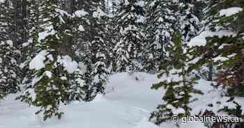 American teen killed in Banff ski collision