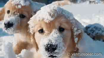 With Sora, OpenAI highlights the mystery and clarity of its mission | The AI Beat