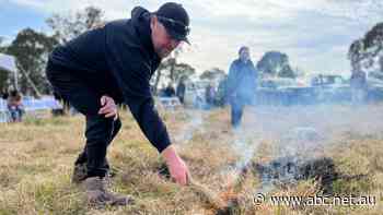 Pilot program using ancient cultural burning technique to prepare for future bushfires in NSW