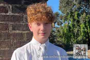 Harry Pitman - the teen stabbed to death in Primrose Hill in 2023