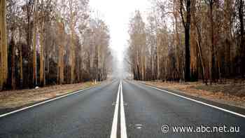 NSW trials ancient cultural burning techniques to keep roads open during bushfires