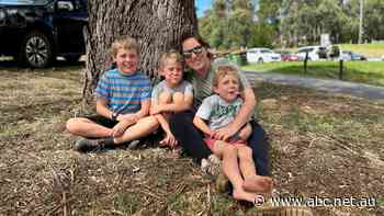 Victorians left in the dark after wild storms, but a permanent fix to power outages could cost billions