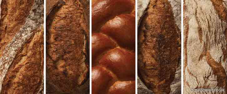 The Way We Bake Is Ever-Evolving