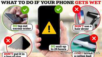 Phone wet and won't turn on? Why Apple says you should NEVER put it in rice - and what really works instead