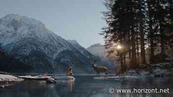 Kampagne für iPhone 15: Deutsche Telekom kommt auf den Hirsch