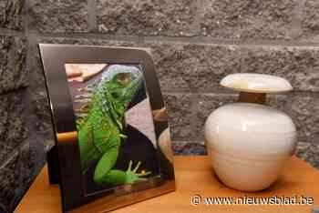 Gemeente laat mogelijkheid strooiweide voor gezelschapsdieren onderzoeken