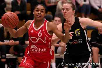 BASKETBABBELS. Sparta Laarne bergt play-offhoop op, BBC Wille Hansbeke op scherp en topper in eerste provinciale