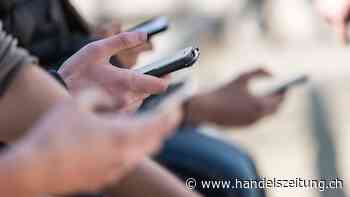 Bundesrat will bei Strommangel gewisse Webseiten sperren