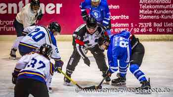 Eishockey: Kommt es bald zu einem Liebenzeller Derby?