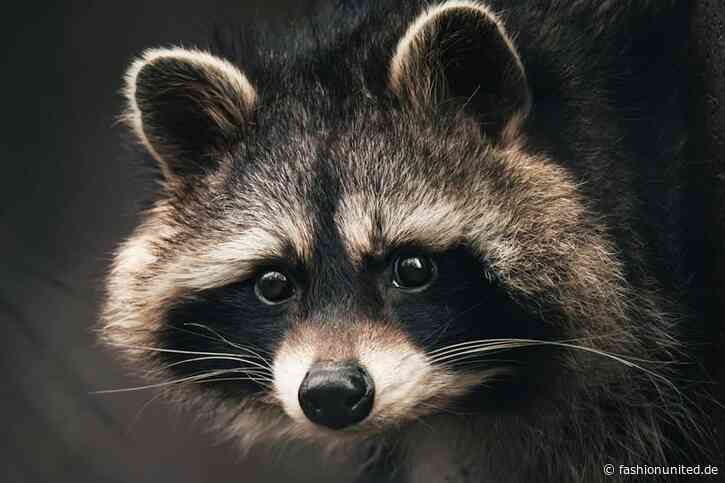 Weltweit größte Anti-Pelz-Kampagne fordert Max Mara zu Pelzverzicht auf