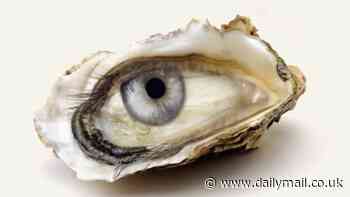 Optical illusion reveals whether you're set for incredible good luck - or have to 'bravely persevere' through a difficult year