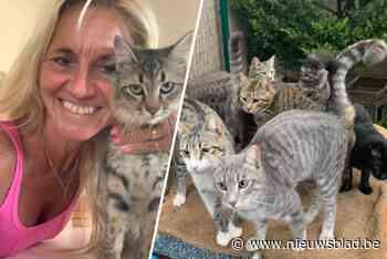 Kunstenaars uit heel de wereld steken Vanessa met veiling handje toe voor zwervertjes