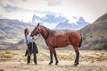 Joséphine (29) haalt top tien in zwaarste paardenrace ter wereld: “De heftigste ervaring van mijn leven”
