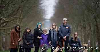 Four remarkable dogs unveiled as finalists in Crufts Hero Awards
