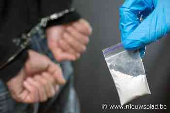 Drugshond betrapt man met zestien pakjes drugs in slip: 15 maanden cel