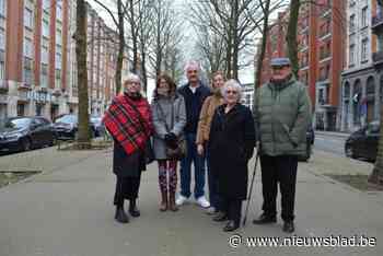 Buurtcomité Diksmuidelaan wil 70 bomen in hun straat redden en starten petitie: “Bomen hebben te weinig plek”