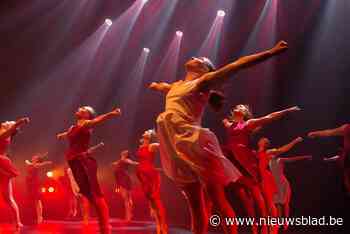 Dansdocenten starten petitie na aangekondigde sluiting gerenommeerd danscentrum: “De wetgeving maakt me duizelig”