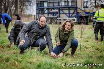 Aanplanting belevingsbos is volgende stap in sociale werking op Magiplant-site
