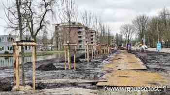Nieuwe bomen geplant aan Ridder van Catsweg