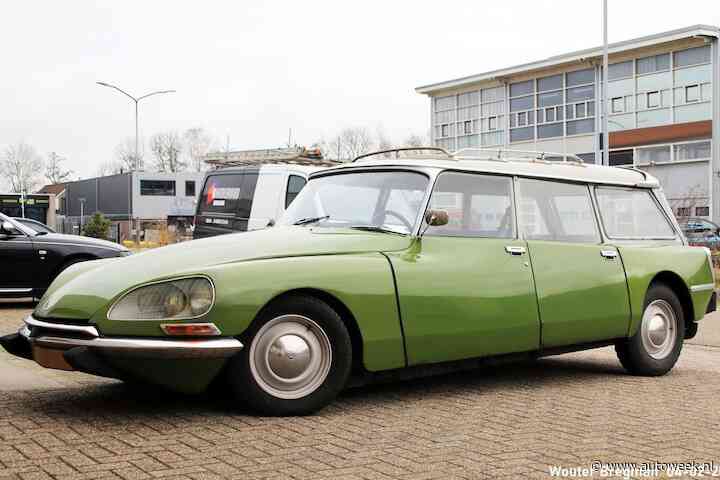 Citroën DS Break: zweven met het hele gezin - In het Wild