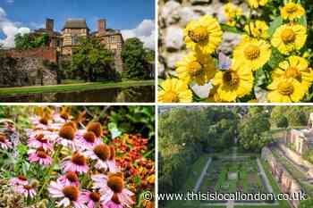 Eltham Palace ranked by The Guardian as one of UK’s best gardens