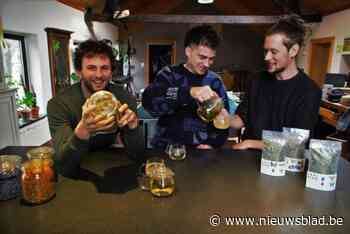 Een kopje (on)kruidenthee? Beekse start-up valt meteen in de prijzen