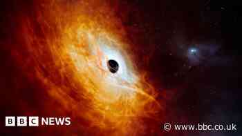 Brightest and hungriest black hole ever detected